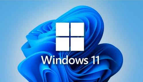 Windows 11 installatie USB voor niet compatible PC.