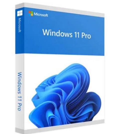 Windows 11 pro