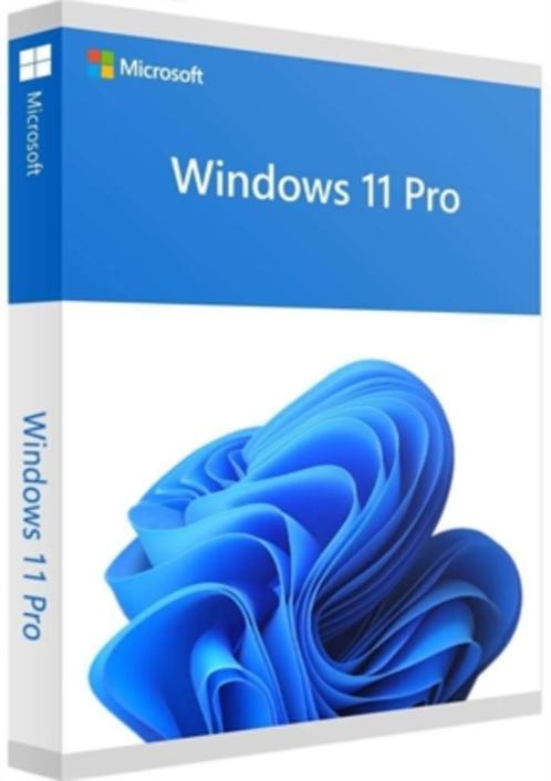 Windows 11 pro