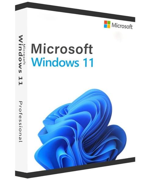 Windows 11 Pro