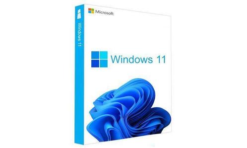 Windows 11 pro  iDEAL  Factuur Direct geleverd