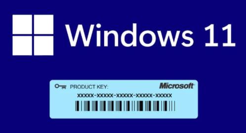 Windows 11 Pro key