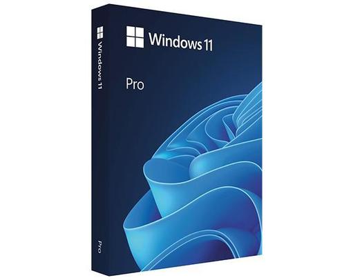 Windows 11 Pro Licentie