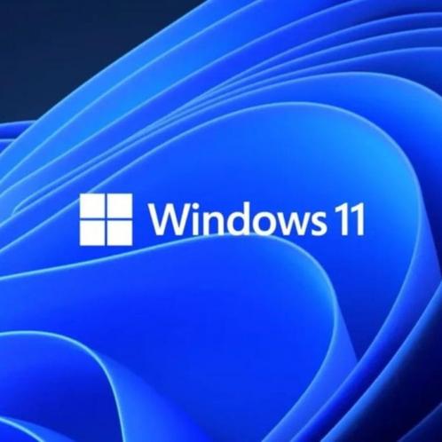 Windows-11-pro-licentie-31742.jpeg