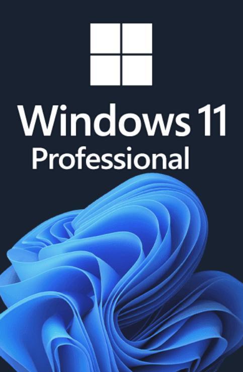 Windows 11 Pro licentie - Direct installeren