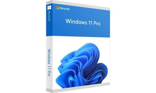 Windows 11 Pro Licentie - Nederlands