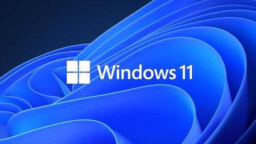 Windows 11 Pro - pc install herstel sandisk USB stickhulp