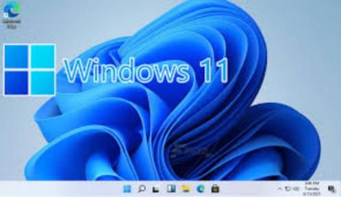 Windows 11 Professional 2024