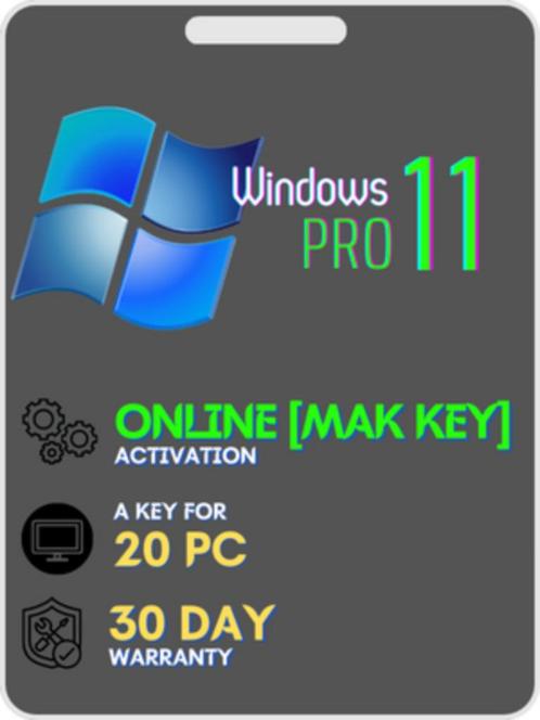 Windows 11 Professional (20PC)