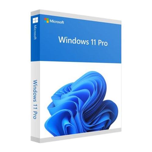 Windows 11 Professional