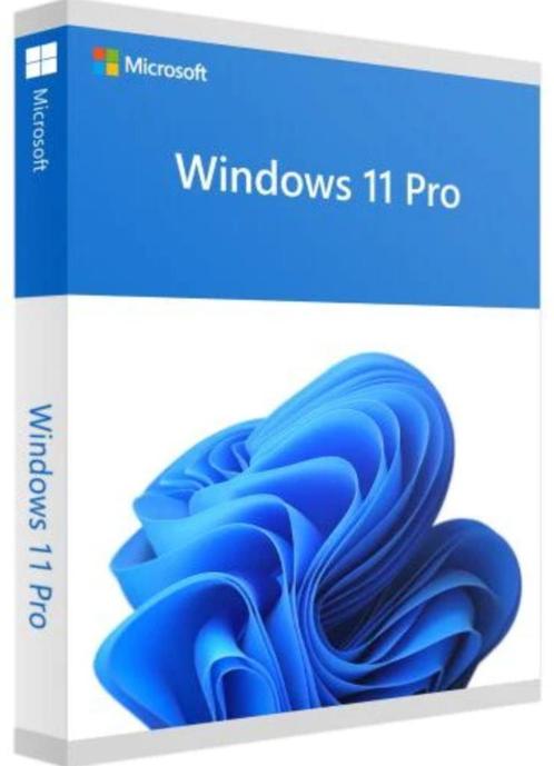 Windows 11 Professional Nederlands  licentie  USB-schijf