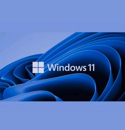 Windows 11 professional nl x64 Geen tmp 2.0 secureboot