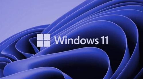 Windows 11 professional nl x64 usb