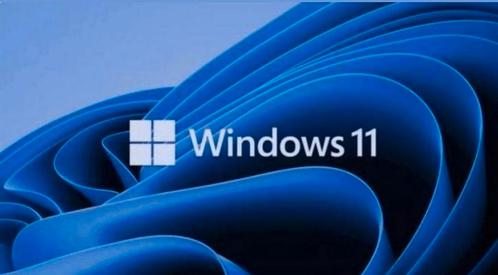 Windows 11 Professional nl x64 usb dvd