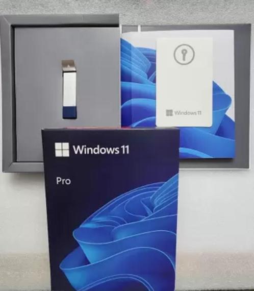 Windows 11 Professional USB Pakket  3264-bit