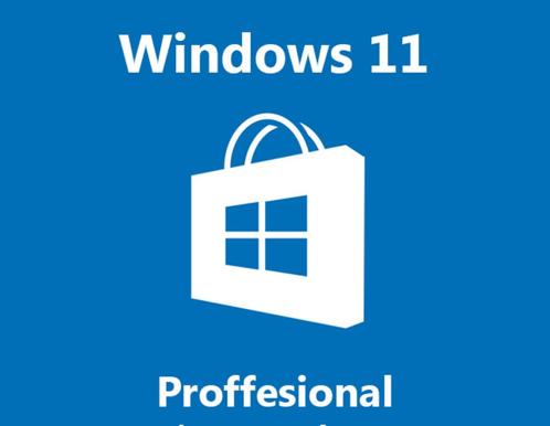 Windows 11 Proffesional licentie key
