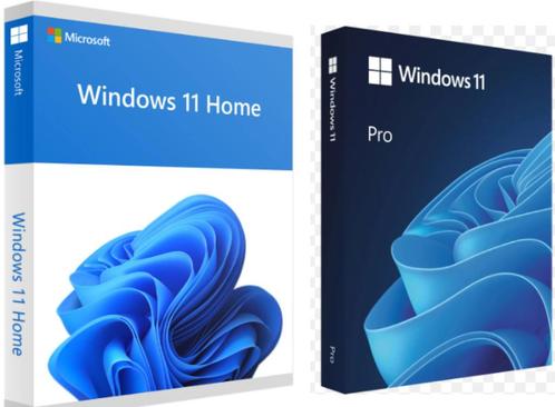 Windows 11, Software Direct Installeren, DOWNLOAD-LINK