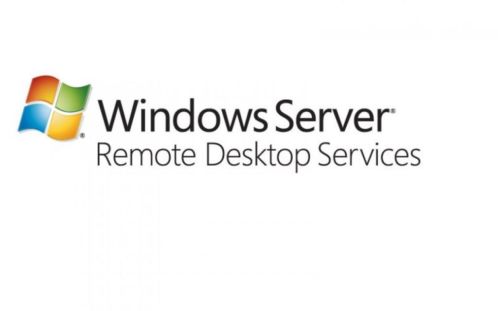 Windows Remote Desktop Services CAL 2012 (1 User)