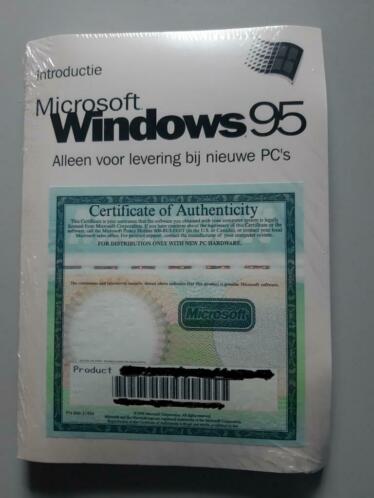 Windows95