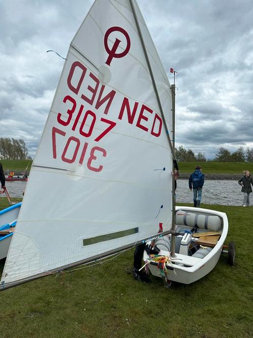 Winner Optimist 2012- Race ready