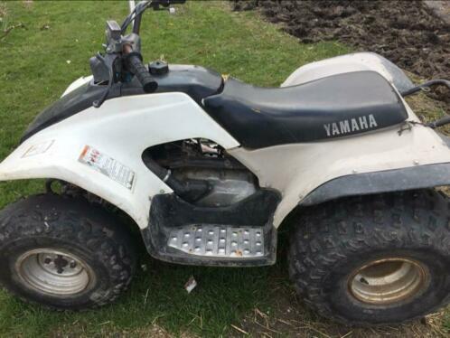 Yamaha breeze 