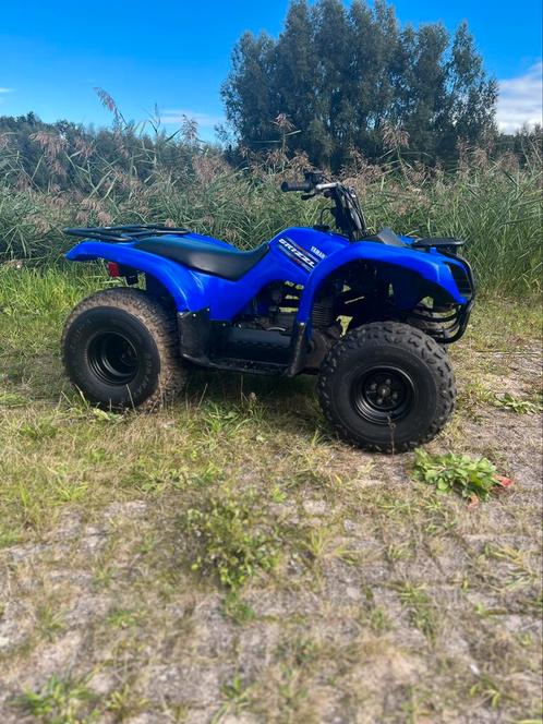 Yamaha Grizzly 125 yfm