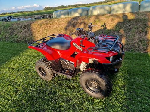 Yamaha grizzly 300 automaat quad.