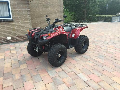Yamaha Grizzly 700 Special Edition Quad