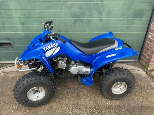 Yamaha raptor 80 yfm kinderquad