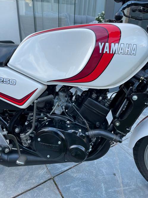 Yamaha RD 250 LC 1980