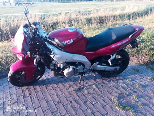 Yamaha thundercat 600cc