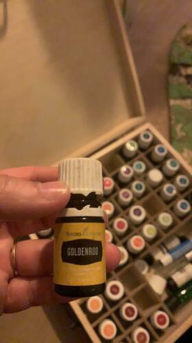 Young Living Goldenrod 3 ml