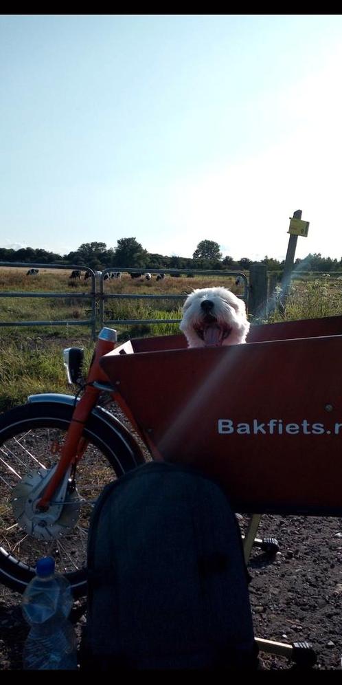 ZEER NETTE BAKFIETS INCLUSIEF GROOT ONDERHOUD 