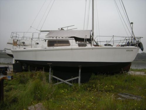 Zeilboot Krisira. 8 x 2.40 mtr 