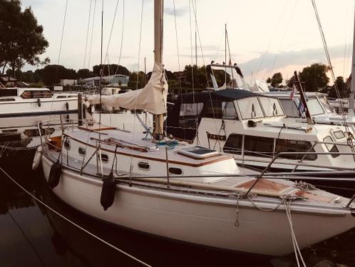 Zeilboot Rebell31 te koop