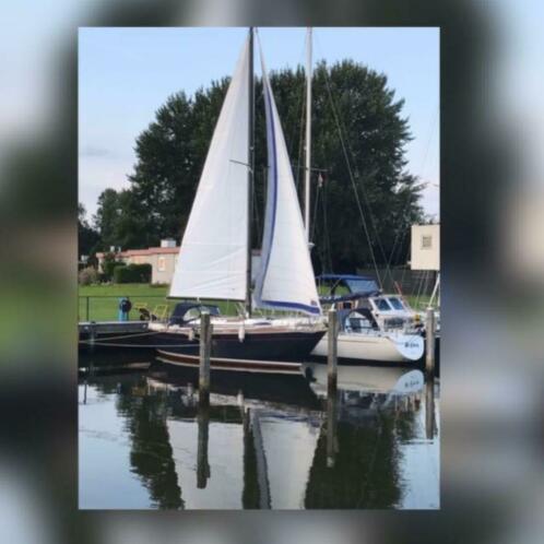 Zeilboot WIBO 945 te koop