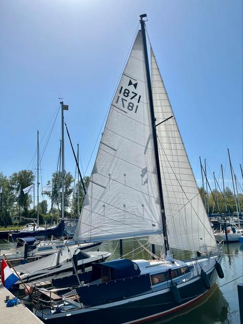 Zeilbootzeiljachtschip - regina - 9 meter - staal