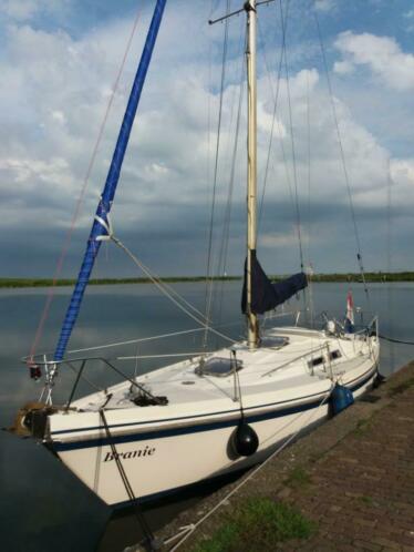 zeiljacht contest 31 HT 31HT polyester zeilschip zeilboot