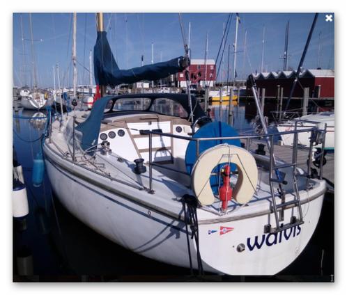 Zeiljacht Jaguar 30 (Catalina 30)
