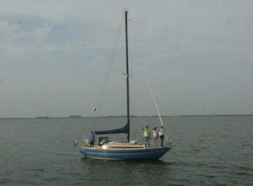 zeiljacht rebell 31