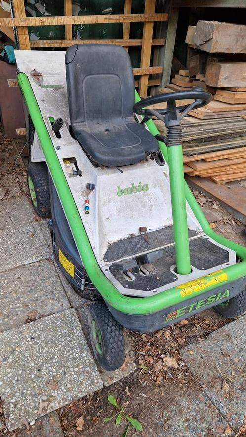 Zitmaaier Etesia