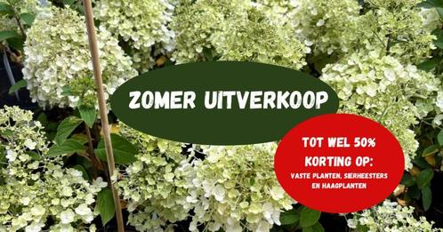 Zomeruitverkoop