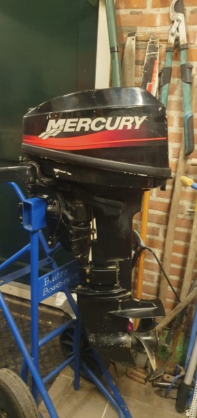 Mercury 8pk kortstaart