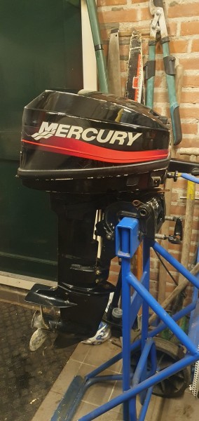 Mercury 8pk kortstaart